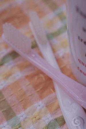 特殊清掃を東京都でしてもらうならここ