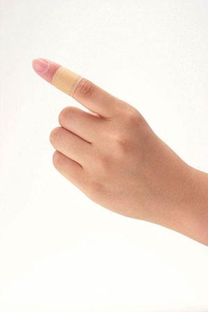 東京にきたら屋形船に乗ってみませんか